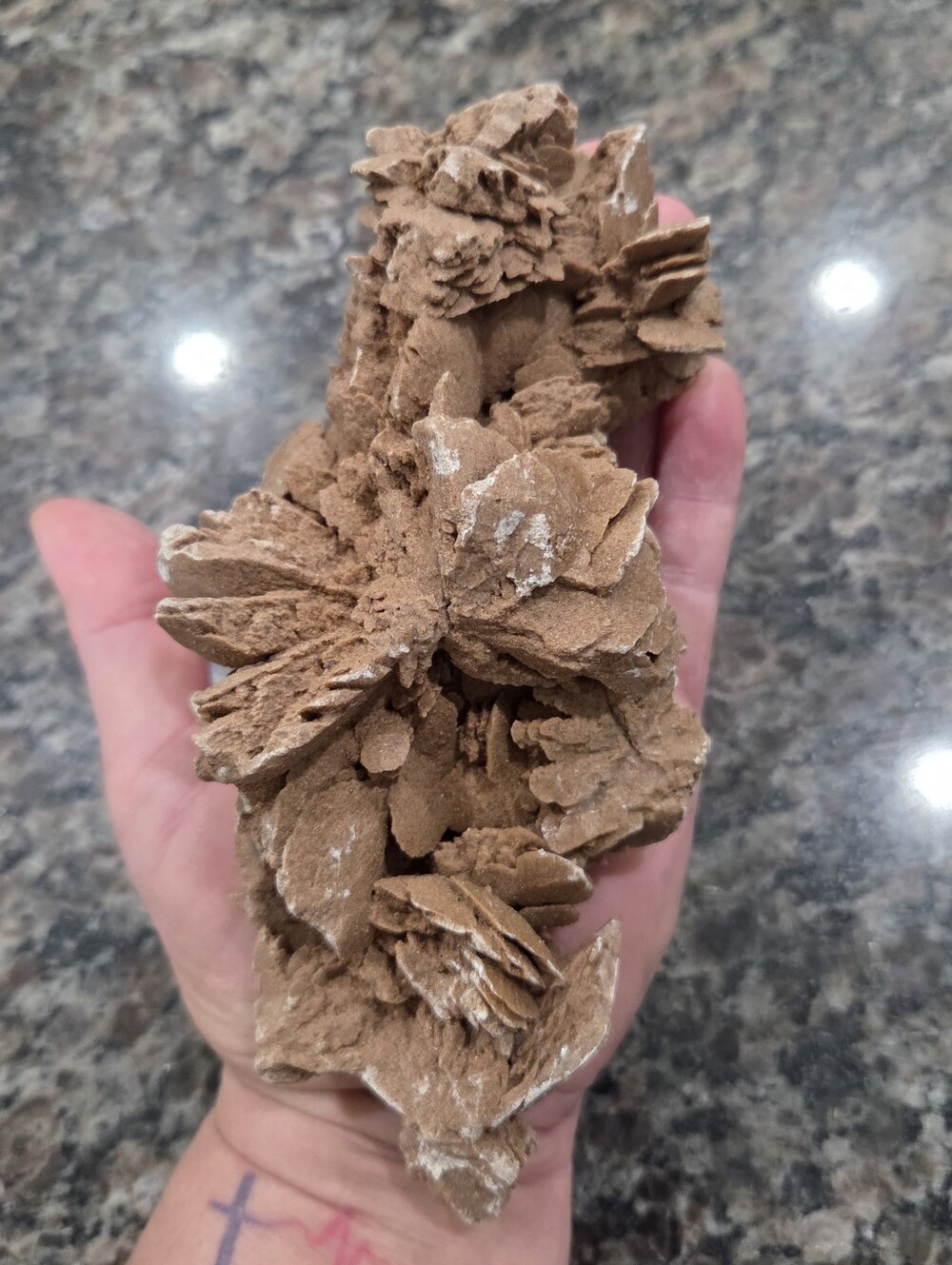 Natural Desert Rose Crystal #6 New - Picture 6 of 6